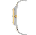 The Savannah Series – Silver & Gold Edition - Image 6